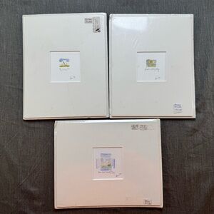 3 Vintage Signed Eilis Hayon Watercolor Paintings Wall Art Galway Bay;Fly Orchid